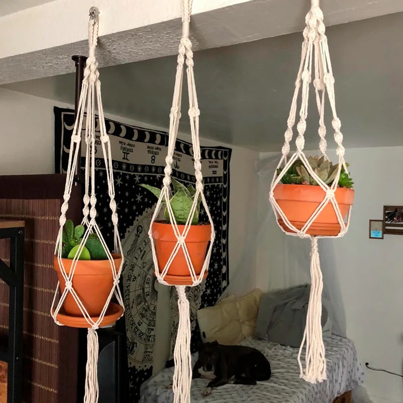 Plant Hanger