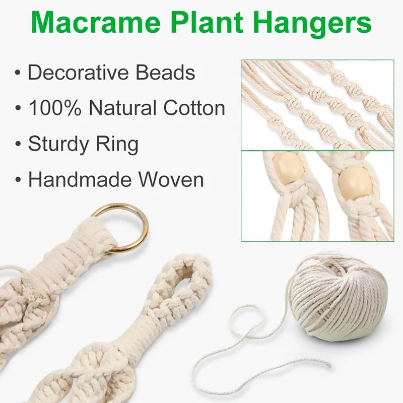 Plant Hanger