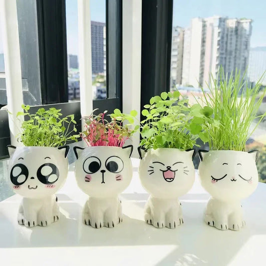 Mini Cat Flowerpot