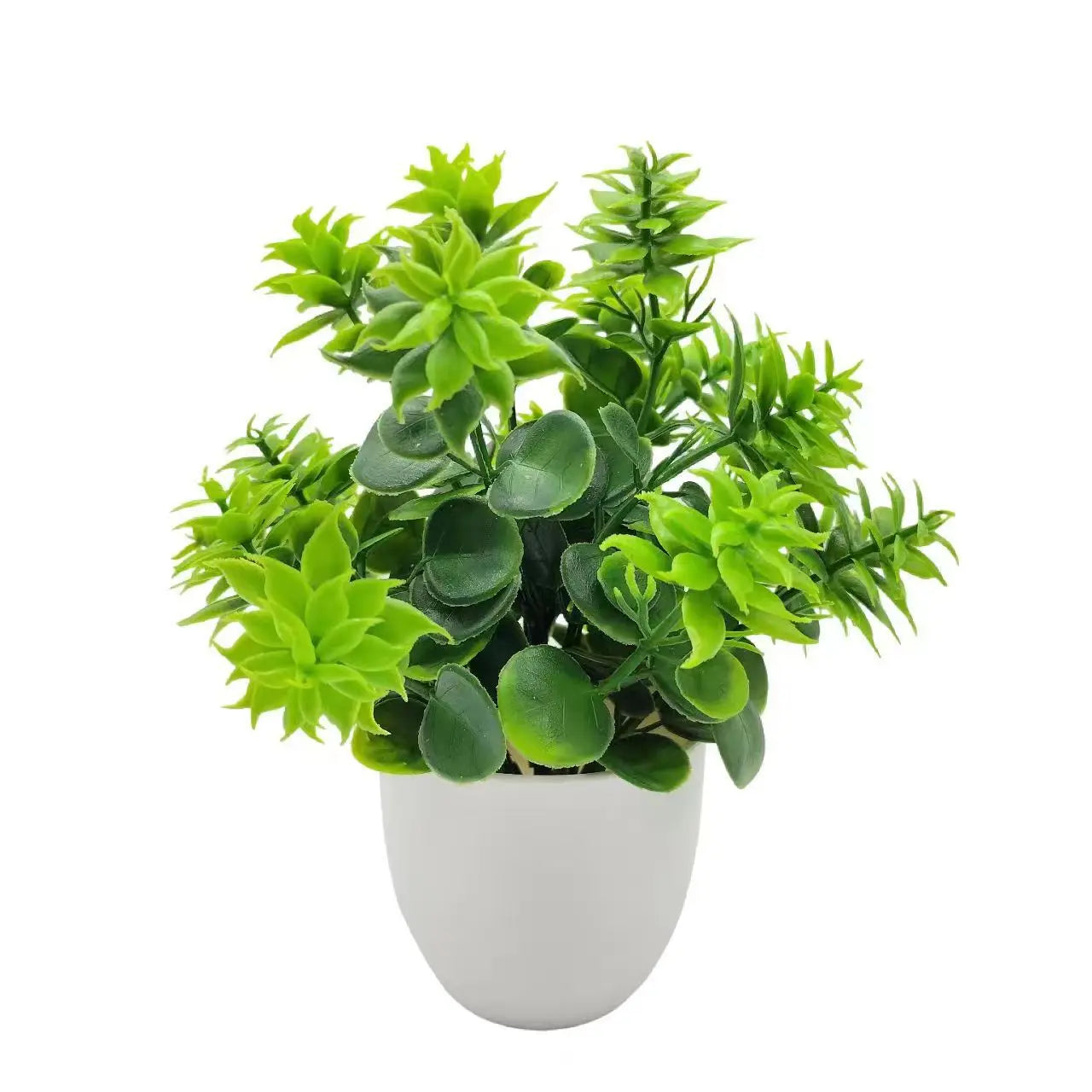 Small House Plant