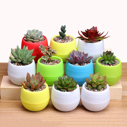 Mini Flower Pots