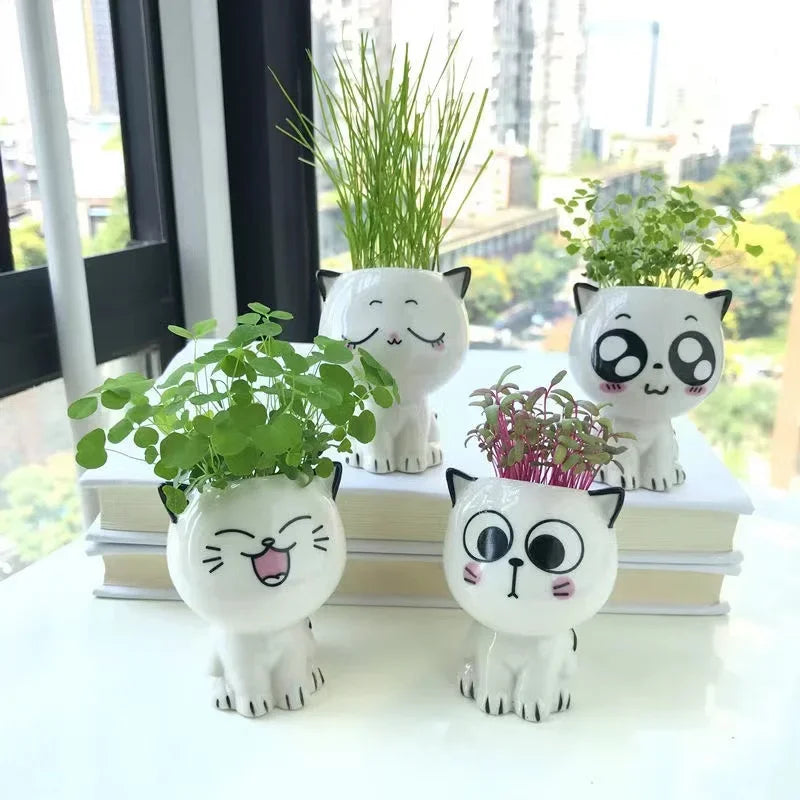 Mini Cat Flowerpot