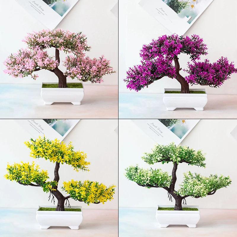 Small Bonsai Tree