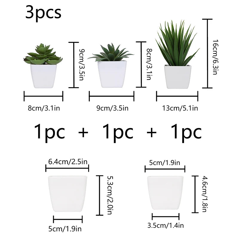 Desktop Plants