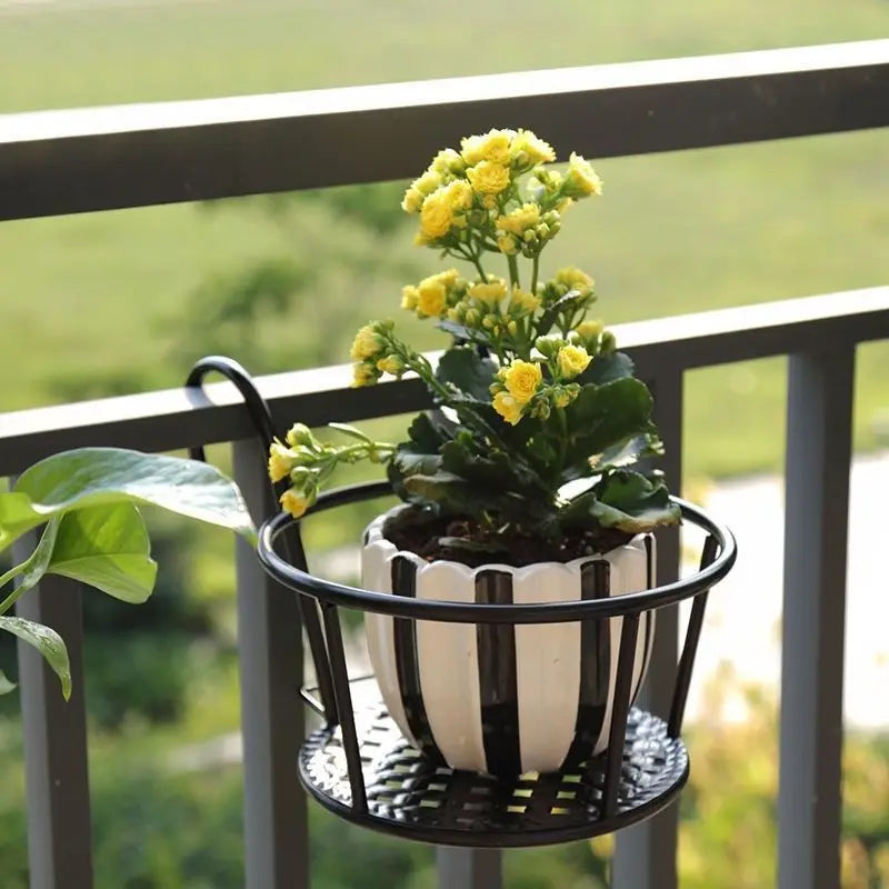 Iron Hanging Baskets